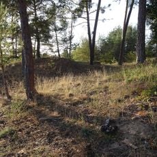 Düne 'Neben Schenkenäcker' zwischen Seeheim und Jugenheim