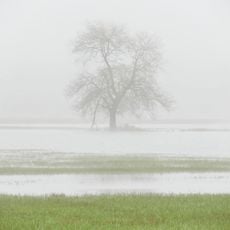 Bliesaue zwischen Blieskastel und Bliesdalheim