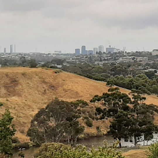 Afton Street Conservation Reserve