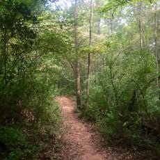 Croft State Park