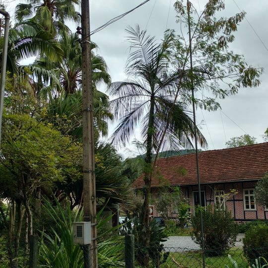 Museu de Ecologia Fritz Müller