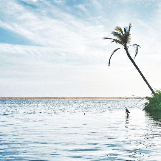 Thiruvananthapuram district