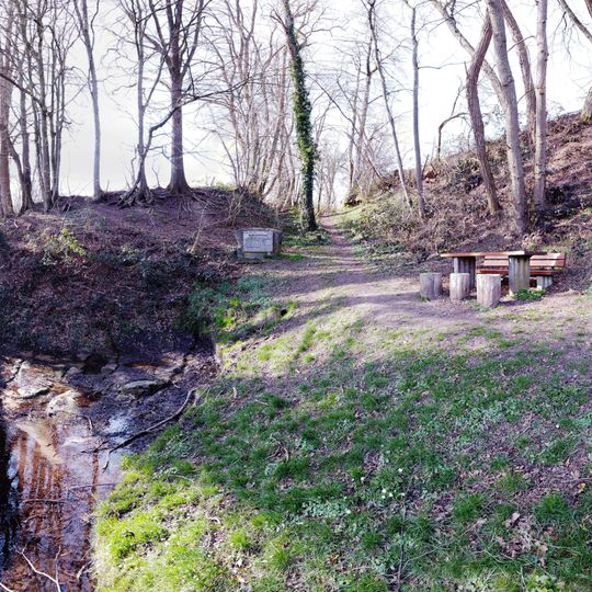 Murr-Ursprung und Gehölz