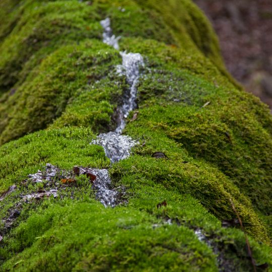 Steinerne Rinne bei Erasbach