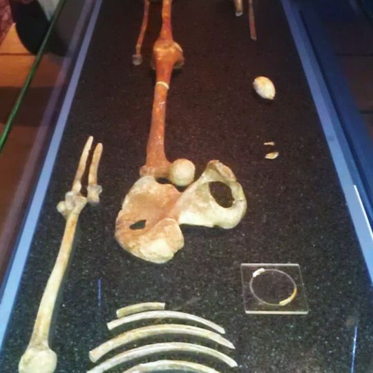 Dama roja de Paviland