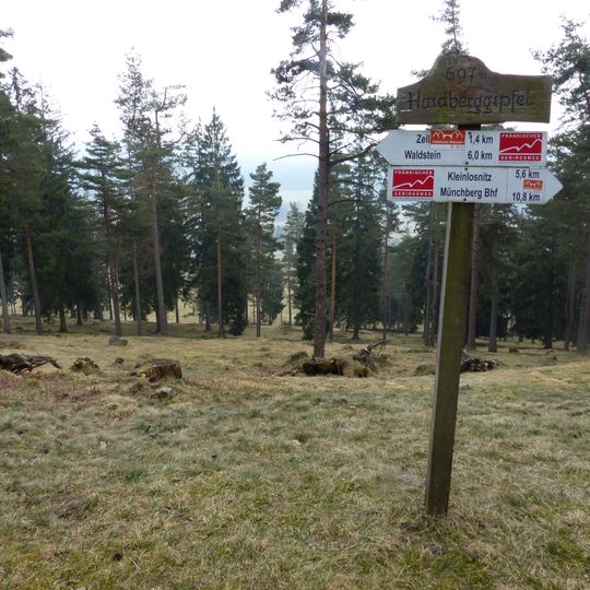 Serpentinstandorte am Haidberg südwestlich Zell