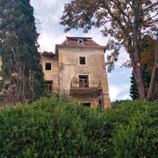 Cipresso di Monterey