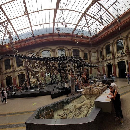 Naturkundemuseum-Shop