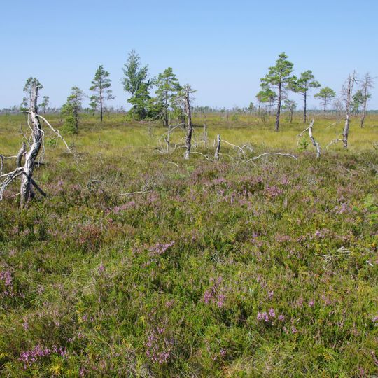 Läänemaa Suursoo Nature Park