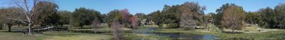 Panoramic View 1