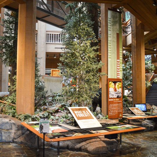 World Forestry Center