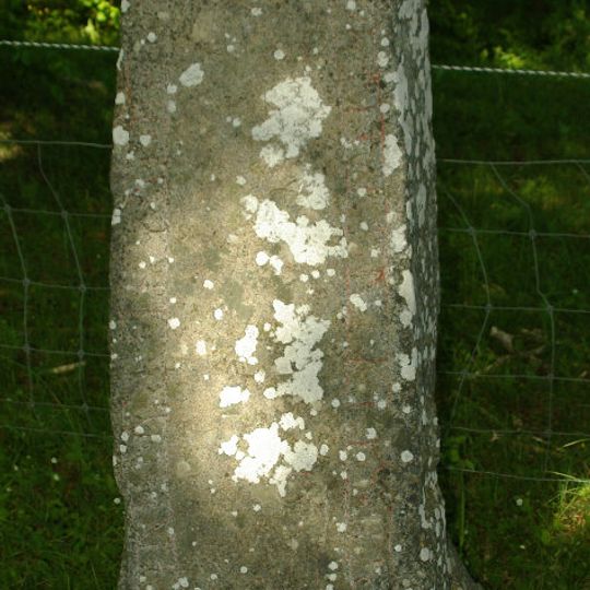 Uppland Runic Inscription 482