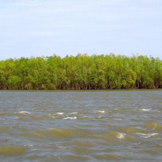 Große Brăila-Insel