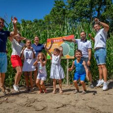 Pop Corn Labyrinthe LILLE