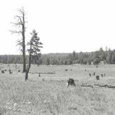 Barney Flat Historic Railroad Logging Landscape