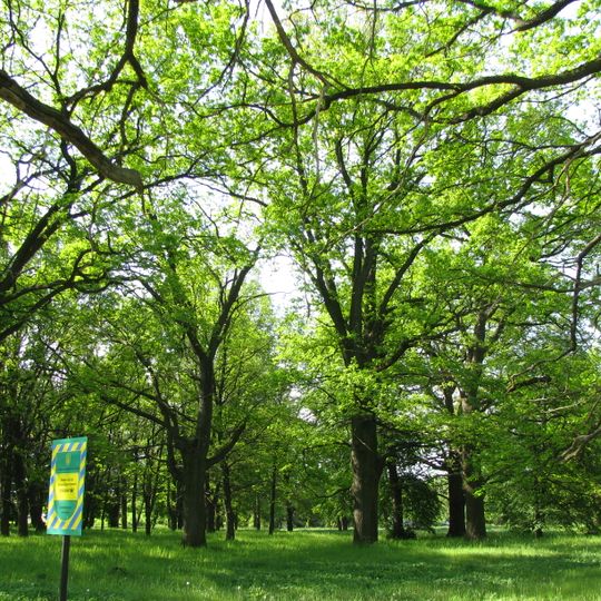 Oak grove Poltava psychiatric hospital