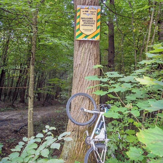 Nekhvoroshch forestry preserve