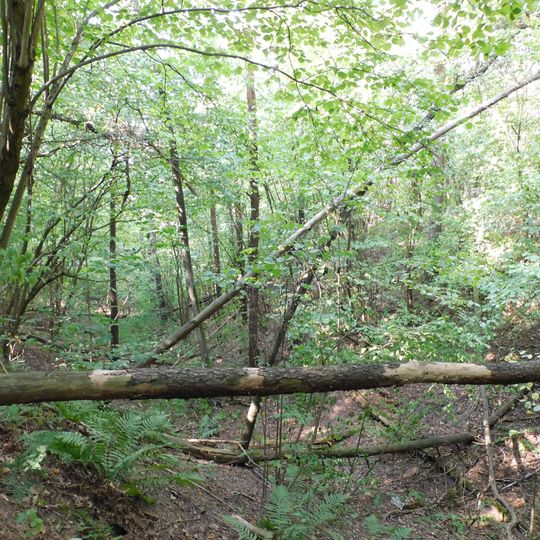 Rezerwat przyrody Dolina Wkry