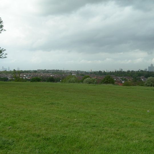 Blythe Hill Fields