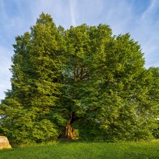 Annalinde (Kirchhausen)