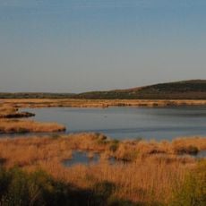 Riserva naturale di Srebărna