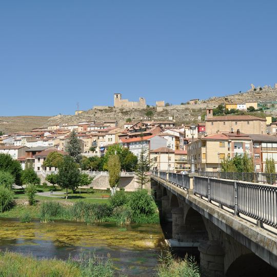 Cerezo de Río Tirón