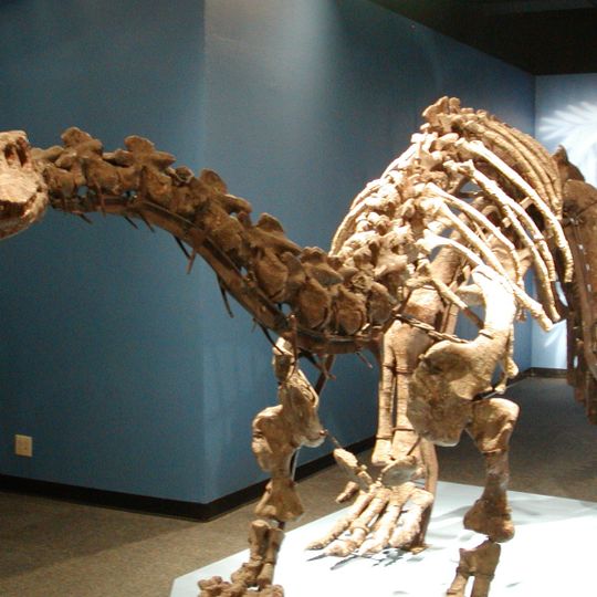 Phillip and Patricia Frost Museum of Science