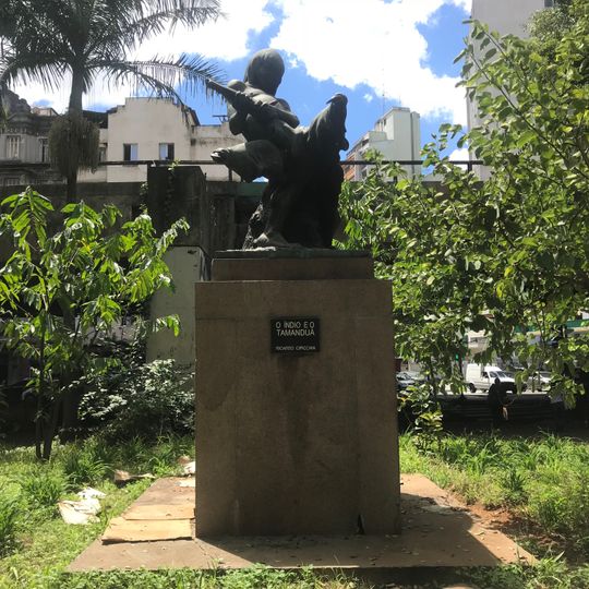 The Indian and the Anteater