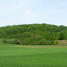 Nature reserve Zielona Góra
