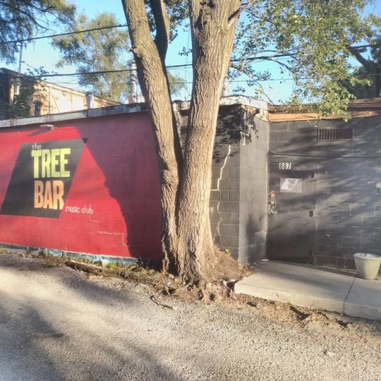 The Tree Bar