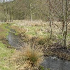 Jungfernbach und Brandteich bei Calden