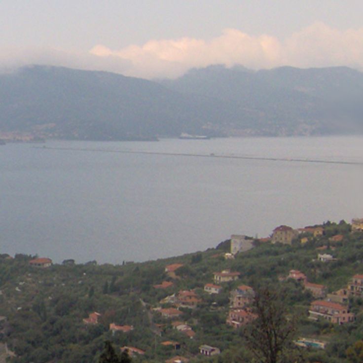Palmaria