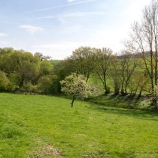 LSG-Talbereiche westlich Hoffeld