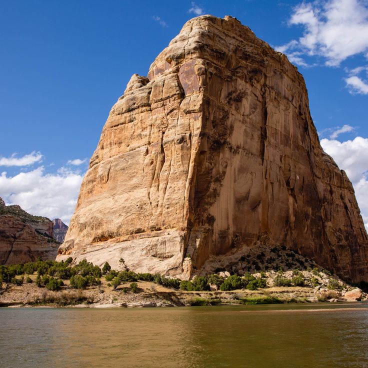 Pomnik Narodowy Dinozaurów