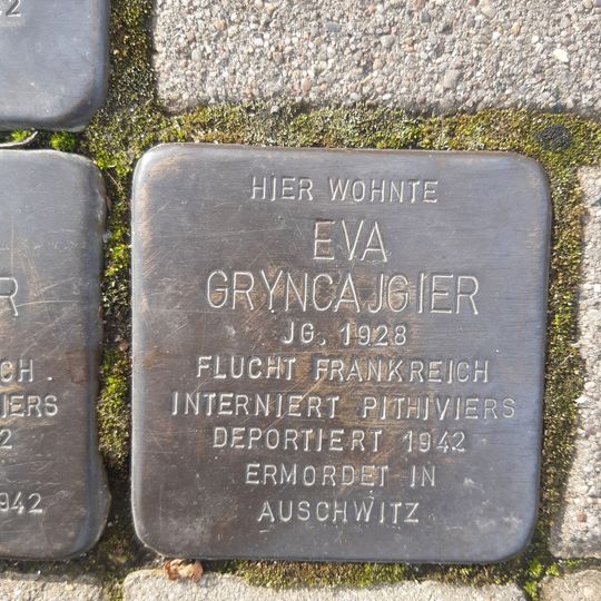 Stolperstein en memoria de Eva Gryncajgier