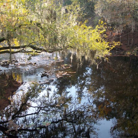 Parque Estatal O'Leno