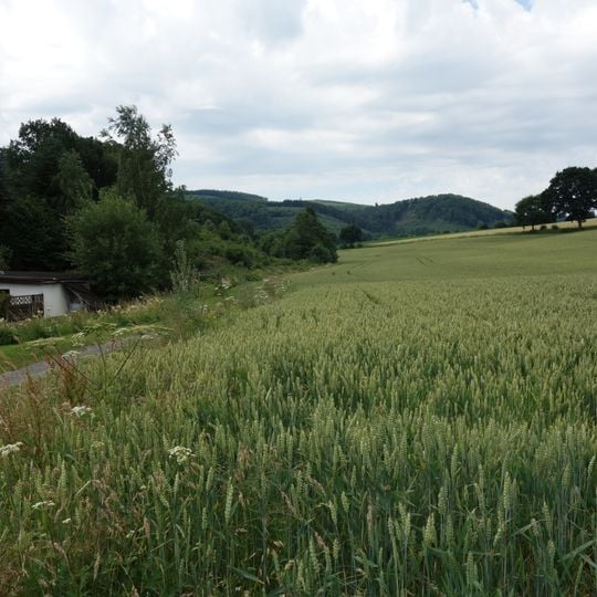 Talraum des Salmensiepen südlich Remblinghausen