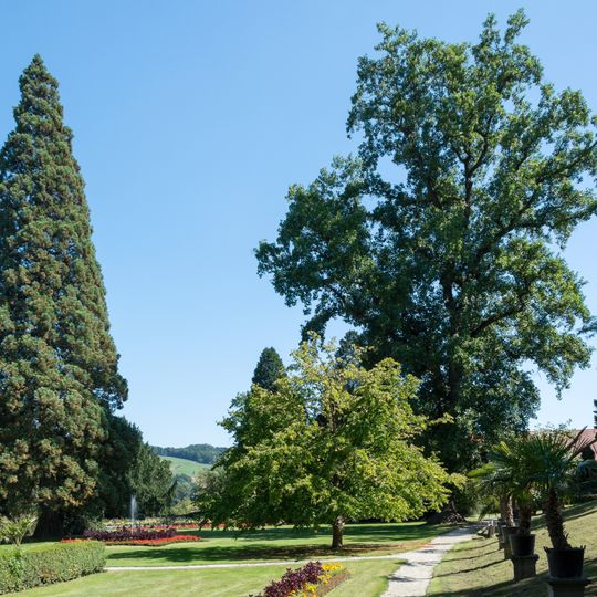 Drei Bäume im Stiftspark Wilhering