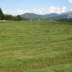 Hügelgräberfeld Ort-Gmunden