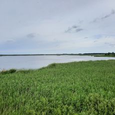 Biosphärenreservat Žuvintas