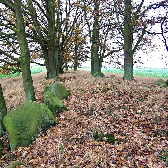 Dolmen von Friedrichsruhe