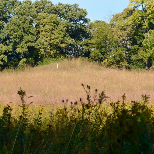 Albany Mounds State Historic Site