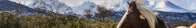 Panoramic View 13