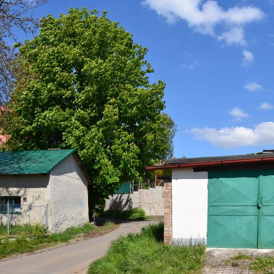 Jírovec v Miřeticích