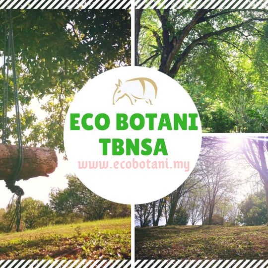 Aviary 'n' Bunny Park