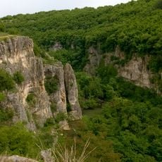 Каньона на река Негованка