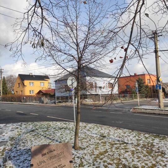 Lípa svobody Krásné Pole