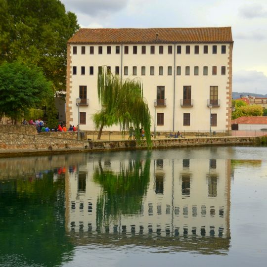 Bassa del Molí de la Vila