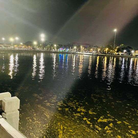 Le Bridge Restaurant