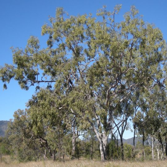 Welford National Park